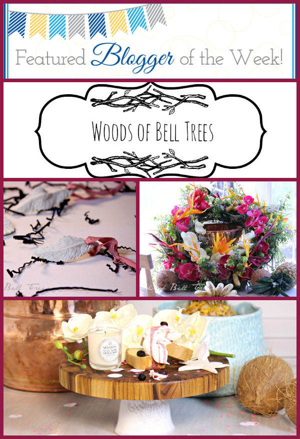 bloggerfeature
